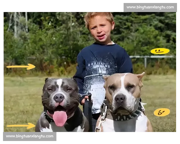 恶霸犬力量与速度极限挑战赛全景纪实报道